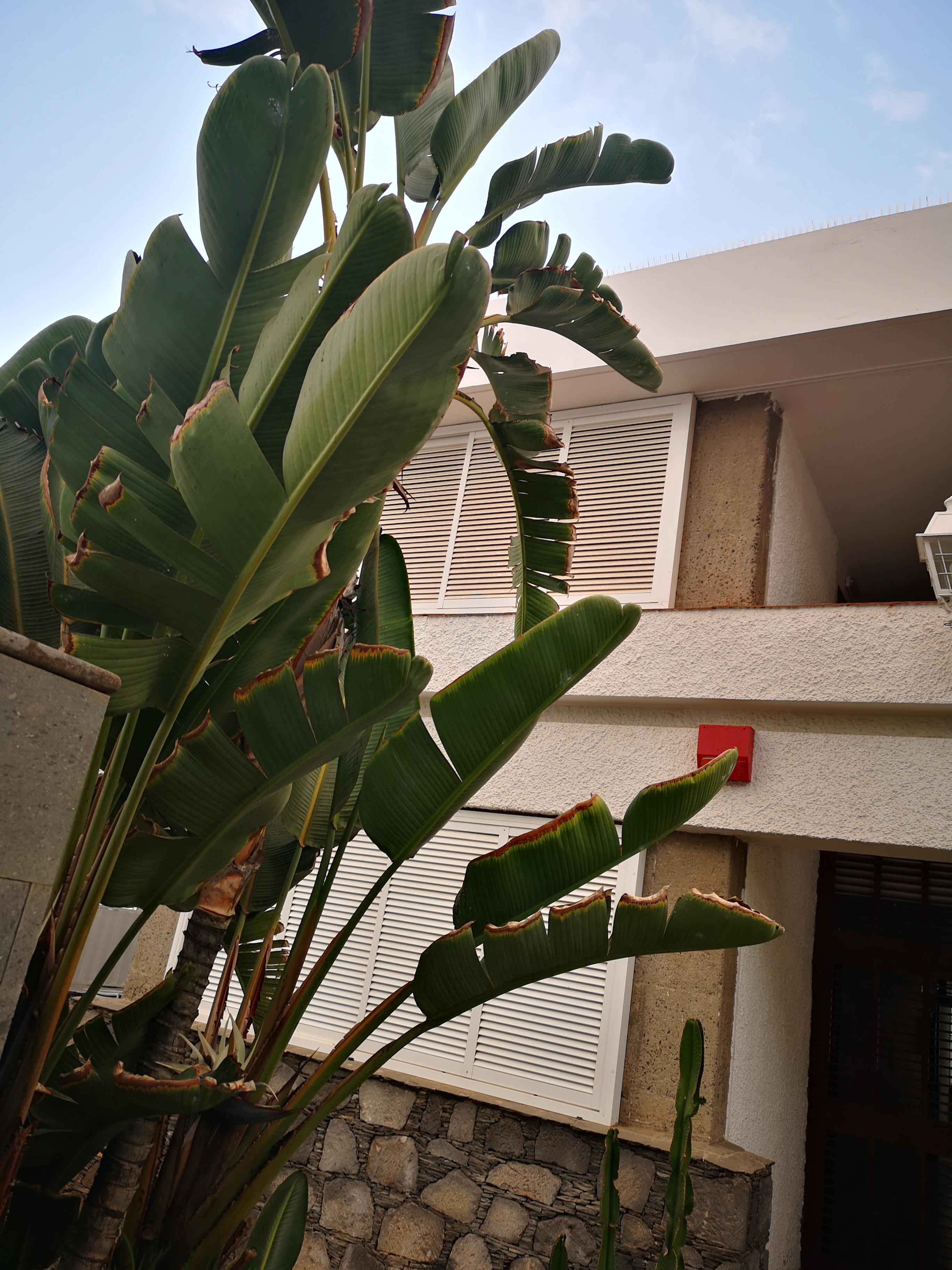 Apartamentos Tamara Maspalomas  Dış mekan fotoğraf
