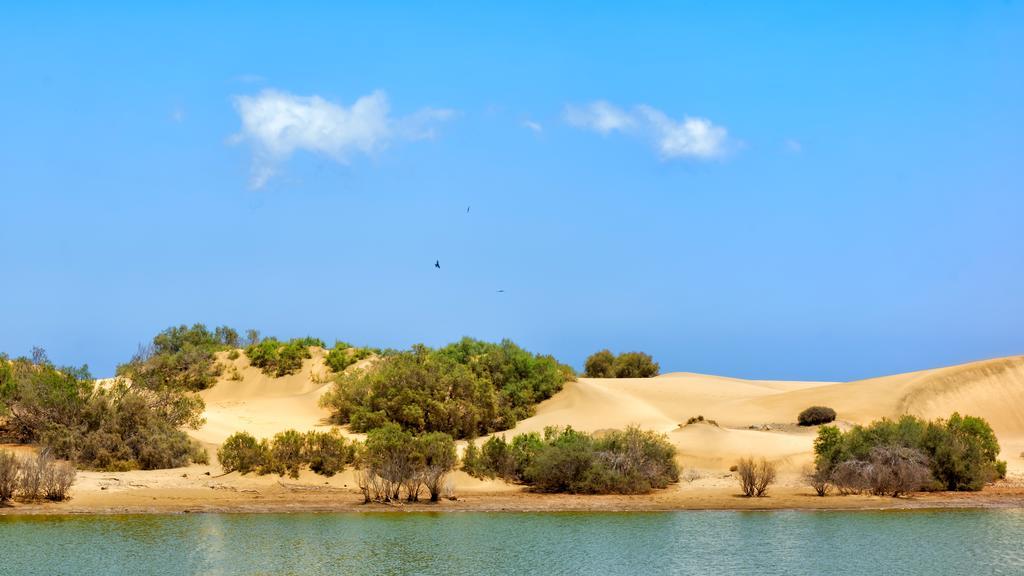 Apartamentos Tamara Maspalomas  Dış mekan fotoğraf