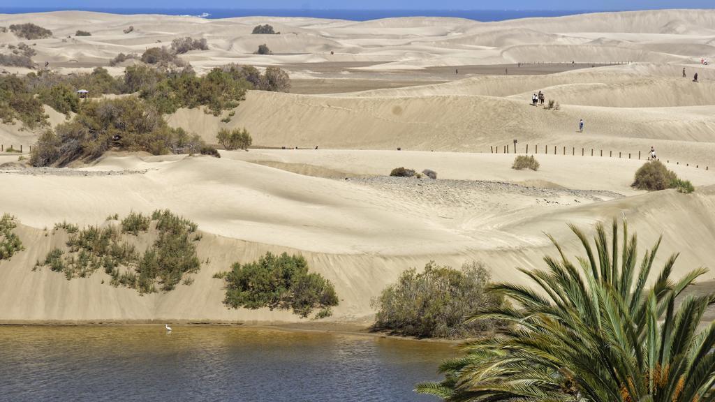 Apartamentos Tamara Maspalomas  Dış mekan fotoğraf